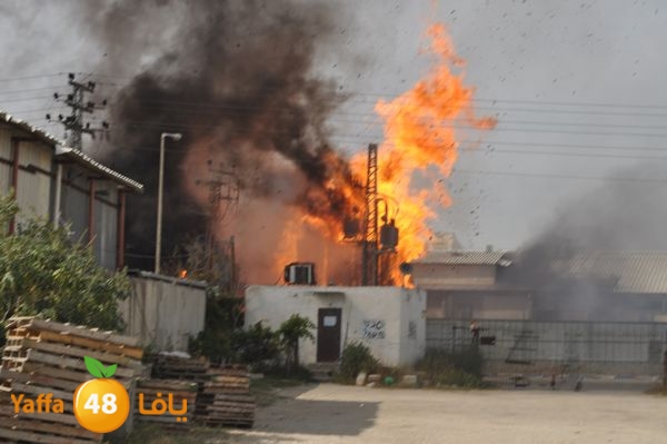 fireludkartoonmasna34 (10).JPG